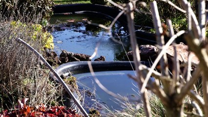 A la rencontre de Patrick Prevot