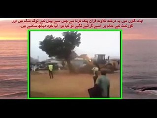 Hukumat Ki Is Darakht Ko Girane Ki Koshish