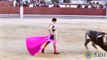 Ce torero espagnol va se attaquer par un taureau en pleine corrida