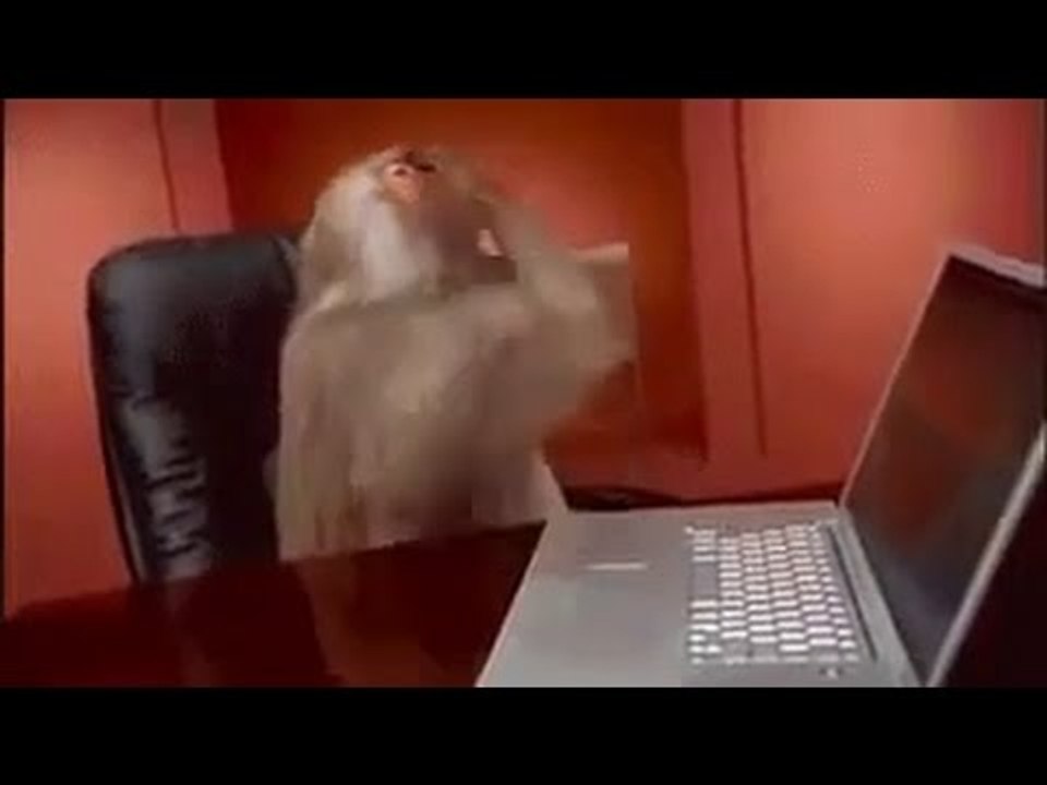 vide)22.mp4