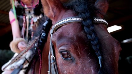 Daily Rebelle N° 8 Jeanne Delajungle - cascadeuse equestre