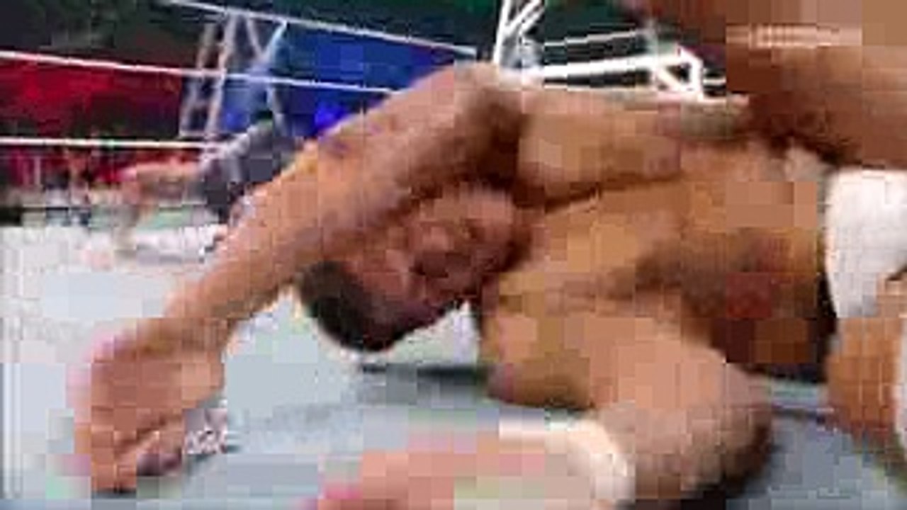 wwe top 10 finishers 2017