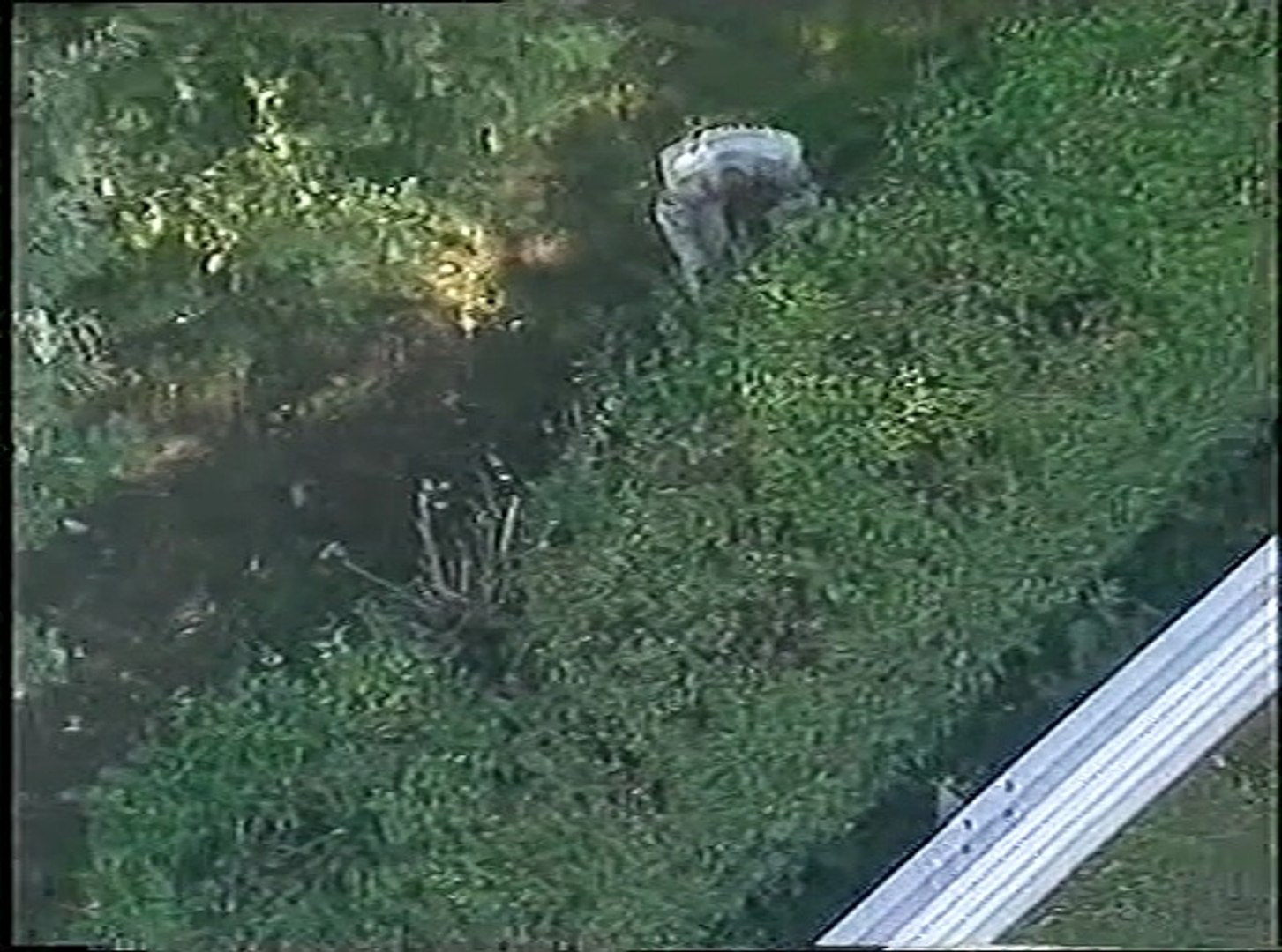 1999 Italian Grand Prix: Häkkinen in tears (part 2) - video Dailymotion, image size:1453x1080