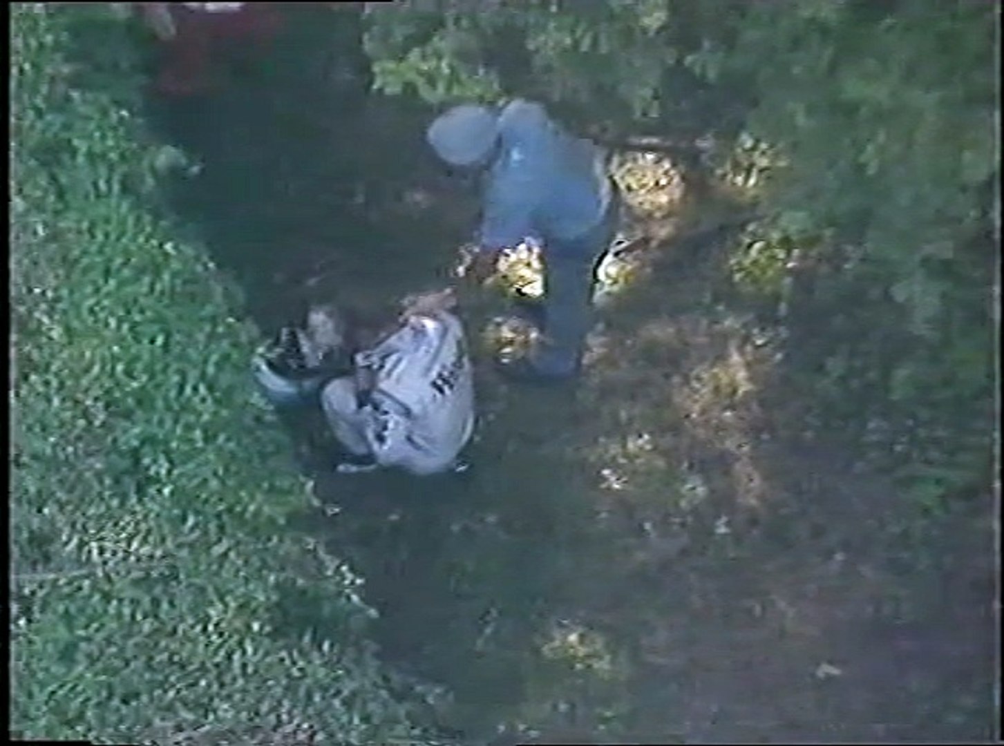 1999 Italian Grand Prix: Mika in tears after retiring. - video Dailymotion, image size:1453x1080