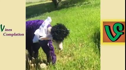 Best Vines Of June 2016 - Try Not To Laugh Challenge Vine Edition - Funny Vine Of June 2016