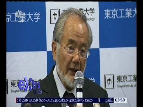 غرفة الأخبار | العالم الياباني يوشينوري أوسومي يفوز بجائزة نوبل للطب
