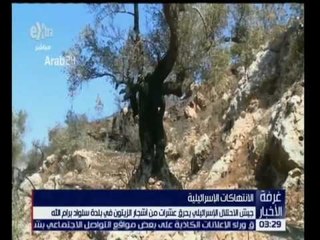 غرفة الأخبار | جيش الاحتلال الإسرائيلي يحرق العشرات من أشجار الزيتون برام الله