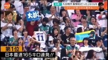 ガンちゃんセレクション！日本ハムファイターズ2016ベスト5 他 2016.11.20 プロ野球