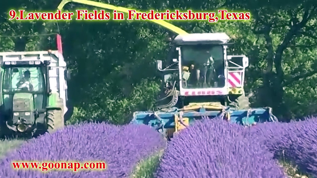 36 most amazing place to travel in texas of United States,usa