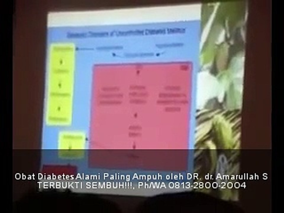 PATENT!!!, Obat Tradisional Diabetes Kering, Obat Diabetes Alami dari Tumbuhan