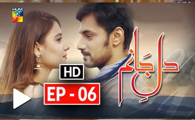 Dil e Jaanam Episode 6 Full HD HUM TV Drama 5 April 2017