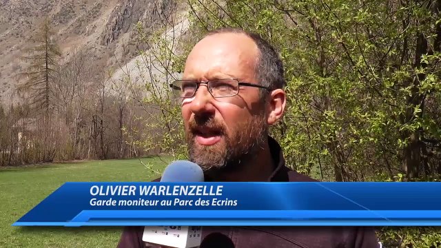 Hautes-Alpes : Phénoclim, un programme scientifique pour mesurer l'impact du changement climatique