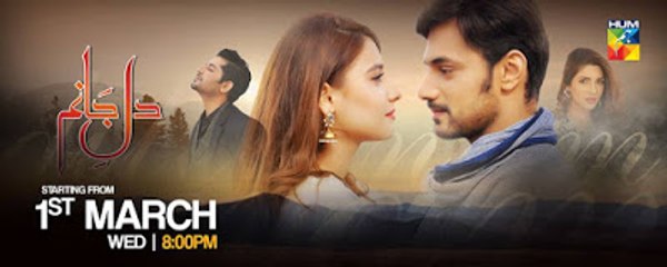 Dil e Jaanam Episode 6 Full | Hum Tv Drama 5 April 2017