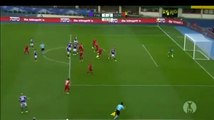 Goal Friesenbichler Austria Vienna vs FC Trenkwalder Admira (1-2)