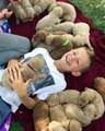 Ce gamin entouré de plein de chiots passe le plus beau jour de sa vie