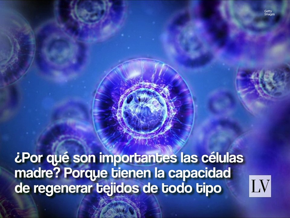 Guardar dientes de leche podría salvar vidas
