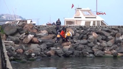 Tekirdağ Kayalıklara Düşüp Ağır Yaralandı