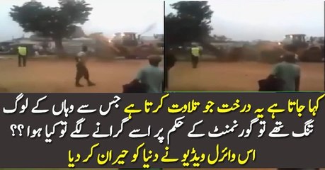 Hukumat Ki Is Darakht Ko Girane Ki Koshish