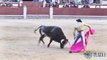 Un taureau encorne le visage d’un torero pendant une corrida à Madrid.