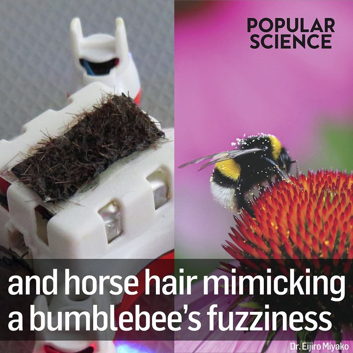 How drones could help pollinate crops