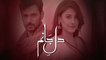 Dil e Jaanam Episode 6 Full HUM TV Drama 5 April 2017