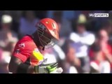 Top 10 Most Funniest fails in cricket--Worst Fails ever in Cricket History -- - YouTube