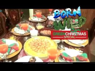 Born to be Wild dreams of a green Christmas