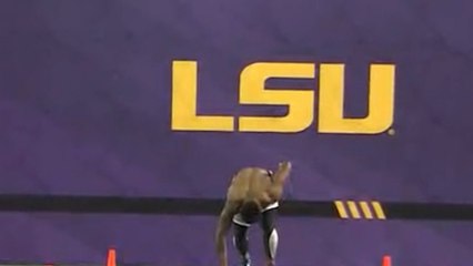 Jamal Adams runs 40-yard dash at LSU Pro Day