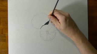 Drawing of some limes - How to draw 3D Art-t5Ju0Durx