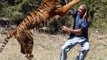corbett national park || wildlife videos || tiger videos || animal videos || uttrakhand wildlife || wild animals