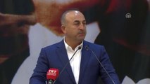 Çavuşoğlu: 