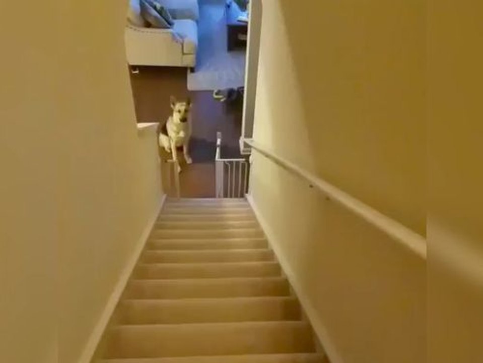 On ne peut pas rêver meilleur réveil !