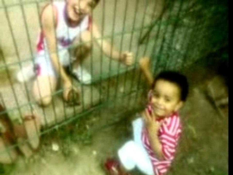 ADEM et LA TORTUE