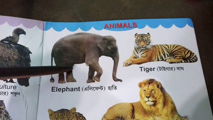 Animal's Name For Kids || Wild Animals Name || Learn Animal Names With Arnab|| Read Animal Name||