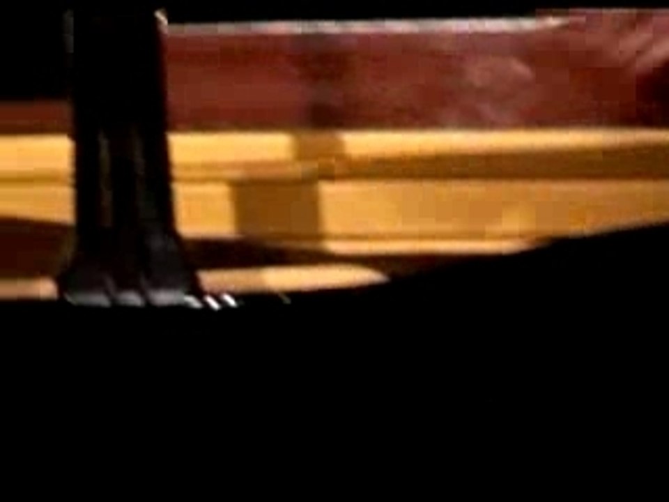 I will survive - Igudesman&Joo