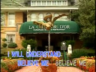 You Don't Have To Say You Love Me - Video Karaoke (PolyGram)