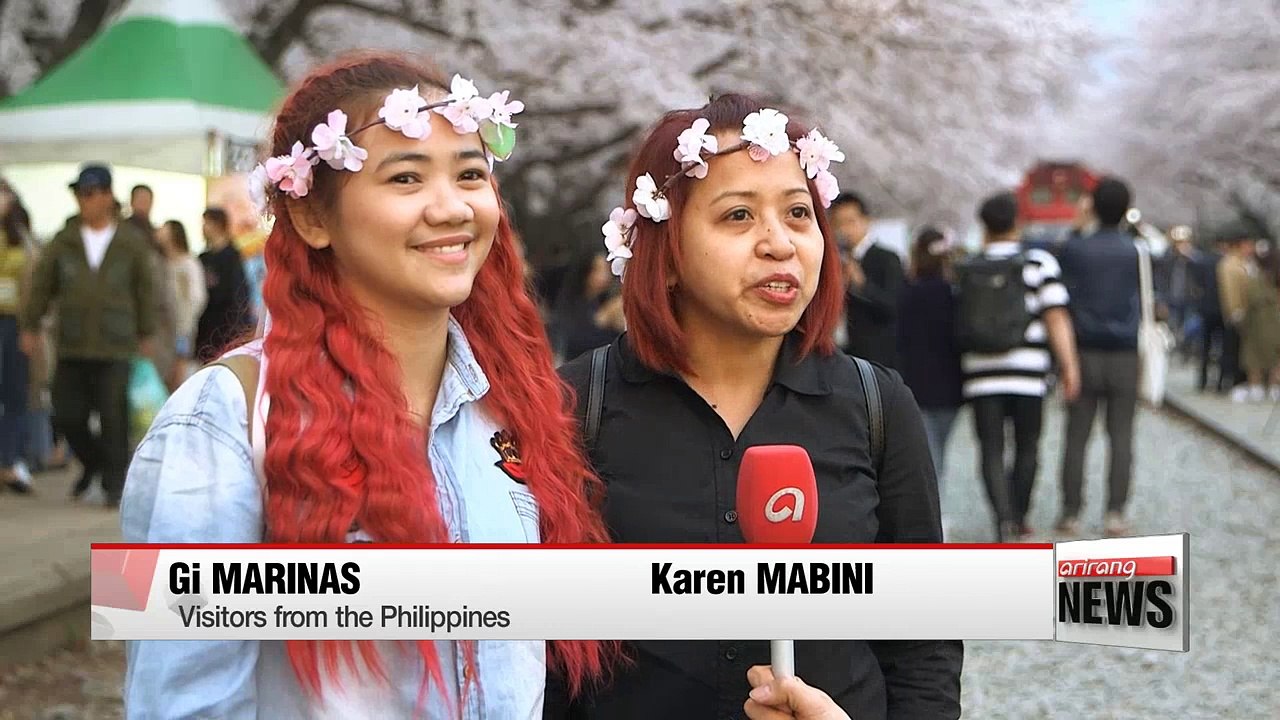 Visitors to Jinhae festival bask in cherry blos...