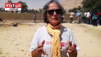 تعرف على قصة إكتشاف 120 تمثال وقطعة أثرية بمنطقة ممنون بغرب الأقصر