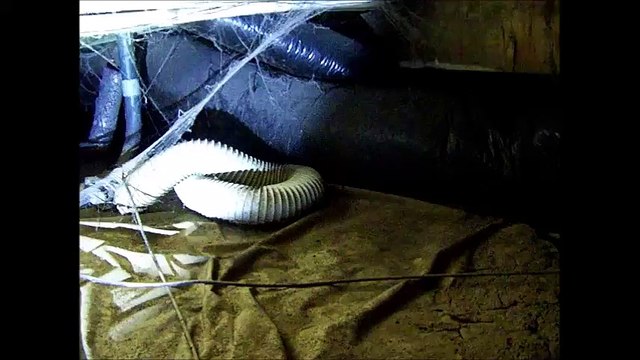 Home Inspectors Louisville, KY Shows How To Inspect Crawlspace | (502) 257-7401 | Call Us!