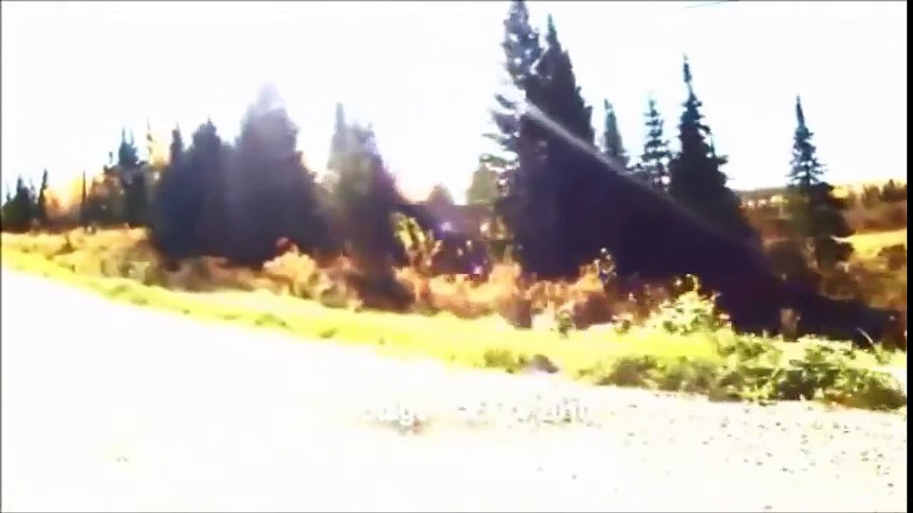 Canoer Films Bigfoot In Algonquin Park (Color Enhanced) http://BestDramaTv.Net