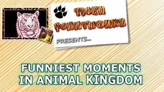 Funniest moments in animal kingdom! Watch and laugh! - Funny animal compilation