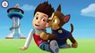 Paw Patrol Puzzle Game - Paw Patrol English Puzzle For Kids [Best - HD]-Y4