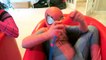 Superhero Superstars! Sumo Fat Superman SPIES on Kat Karmashian! - Spiderman vs Joker-v95