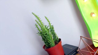 DIY CACTUS MARQUEE LIGHT - Easy and cheap!-yk