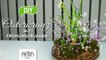 DIY - hübscher Osterkranz mit Frühlingspflanzen [How to] Deko Kitchen-6sLyry
