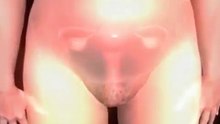 Fertilization-YBfCWRw3