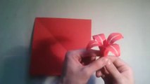 Origami Easy Lily Flower-V