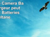 Invero NPFT1 NP FT1 LCD Double Caméra Batterie Chargeur peut charger 2 Batteries