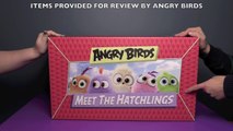 Angry Birds Meet The Hatchlings HUGE Surprise Toys Unboxing! _ Bin's Toy Bin-4dg