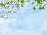 Invero NPFM50 NP FM50 LCD Double Caméra Batterie Chargeur peut charger 2 Batteries
